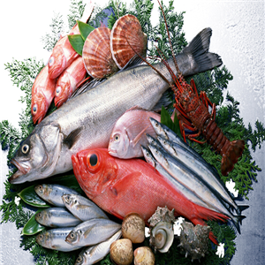 南方水產(chǎn)品加盟 把握商機，開拓水產(chǎn)品市場新藍(lán)海