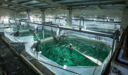 喜報！國信集團兩家水產品公司入選青島首批新經濟潛力企業