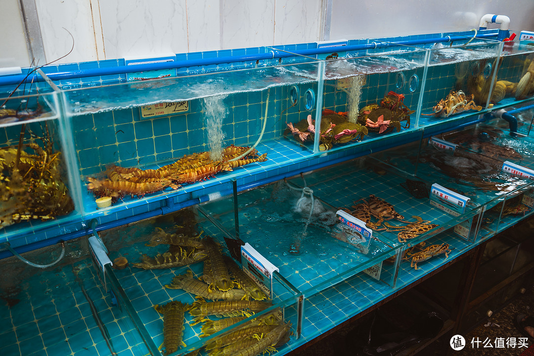 小縣城海鮮生意經 機遇、挑戰與成功之道