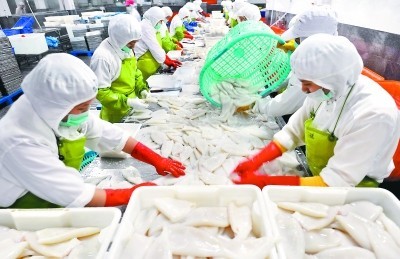 福建晉江水產加工出口快速增長，加工貿易成發展新引擎