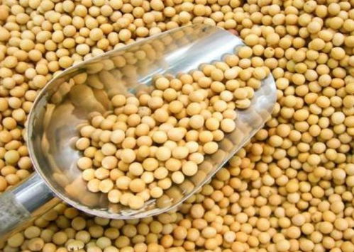 寧波進口食品排行榜揭曉 水產品榮登榜首，吃貨最愛一覽