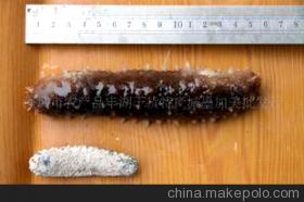 探秘滋補(bǔ)珍品 特級(jí)日本沖子參的營(yíng)養(yǎng)價(jià)值與選購(gòu)指南